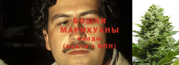 соль ск Невель