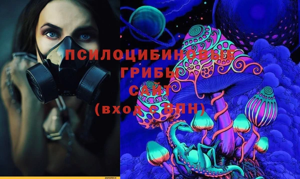 соль ск Невель