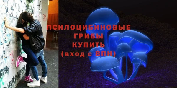 ECSTASY Козельск