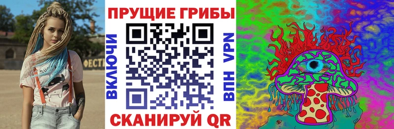 закладки  Малгобек  Галлюциногенные грибы Psilocybine cubensis 
